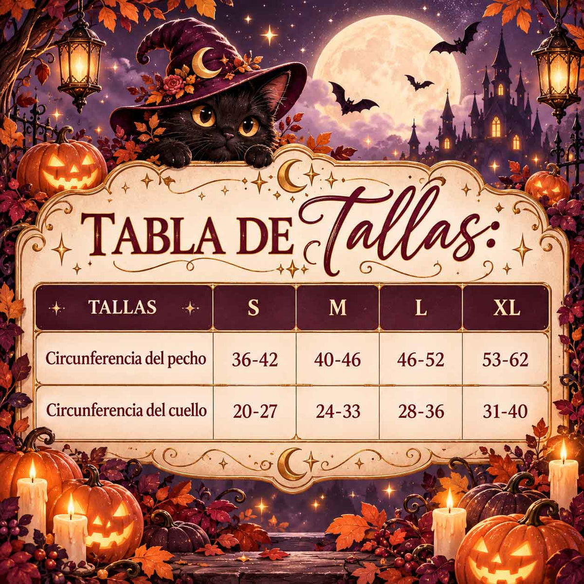 Disfraz De Bruja Para Mascotas Para Halloween