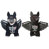 Disfraz De Murciélago Para Mascotas - Moxy Pet Box
