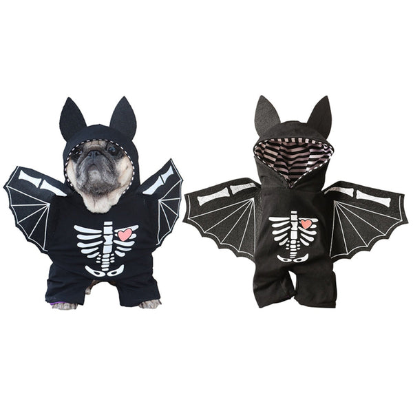 Disfraz De Murciélago Para Mascotas - Moxy Pet Box