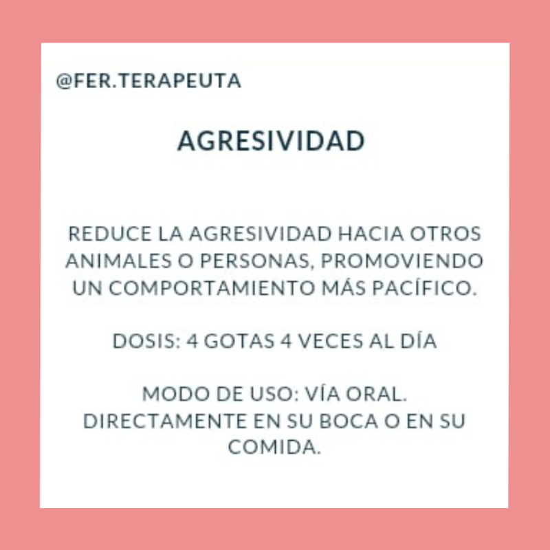 Flores De Bach Para Mascotas Agresividad - Moxy Pet Box