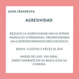 Flores De Bach Para Mascotas Agresividad - Moxy Pet Box