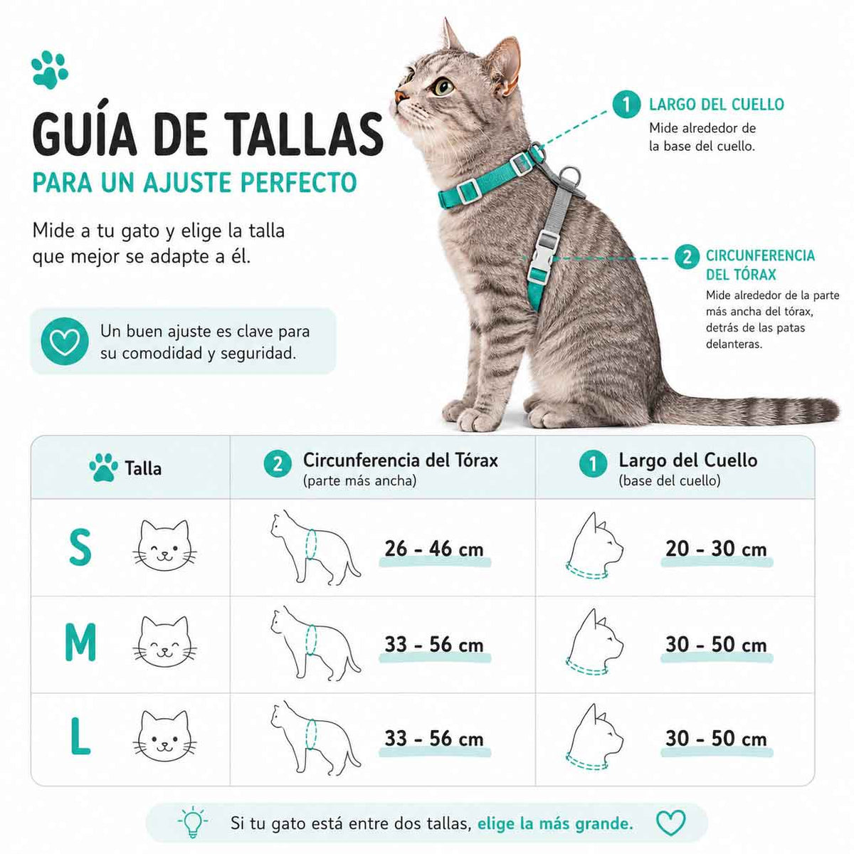Arnés Tipo H Color Verde Agua Para Gatos
