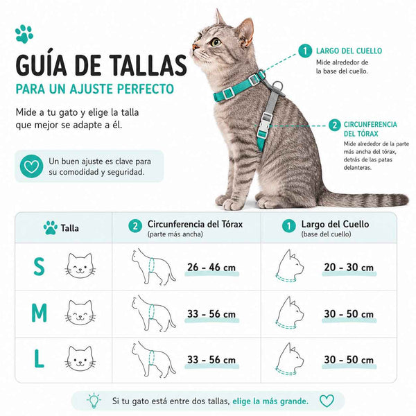 Arnés Tipo H Color Verde Agua Para Gatos