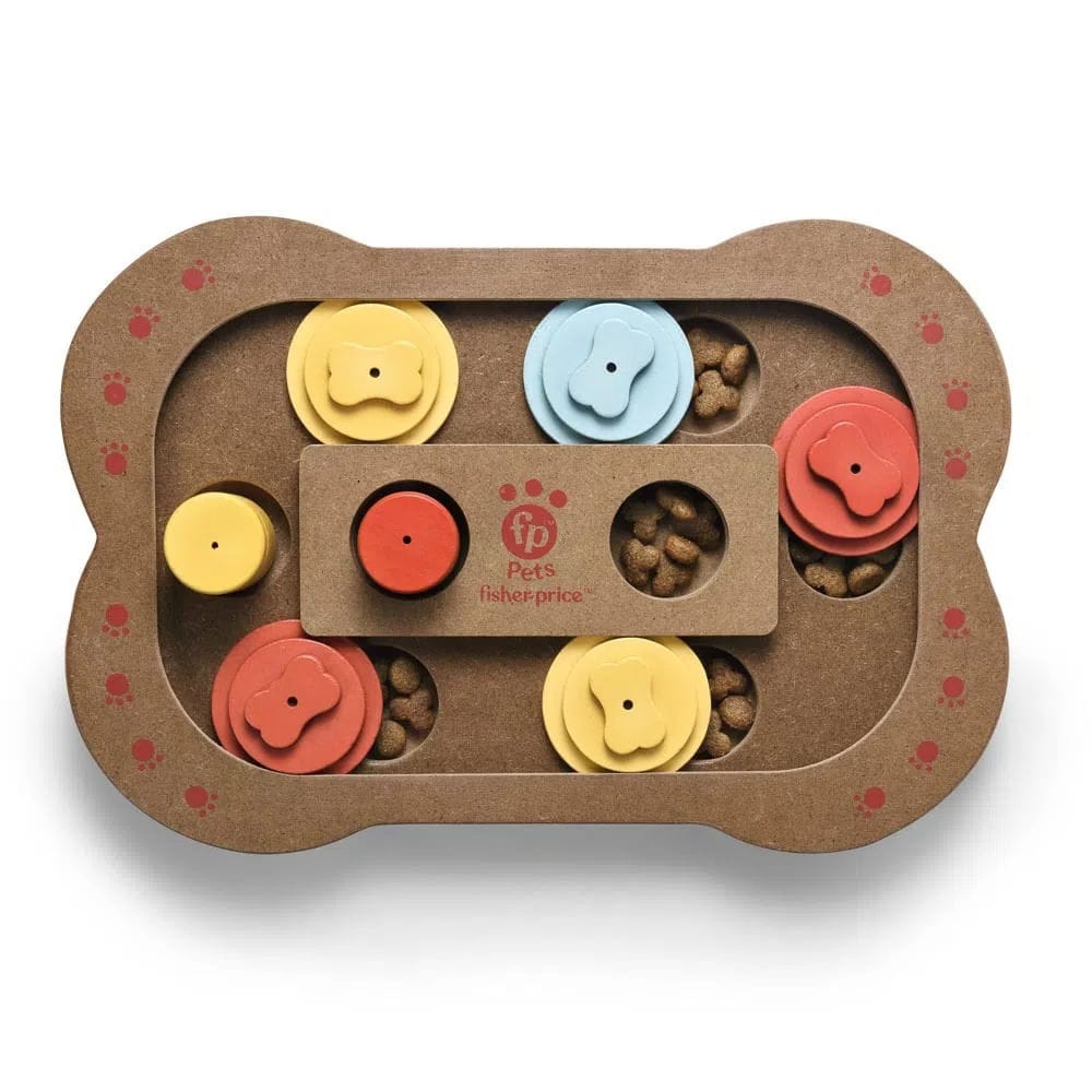 Fisher-Price Bone Shape Interactive Toy