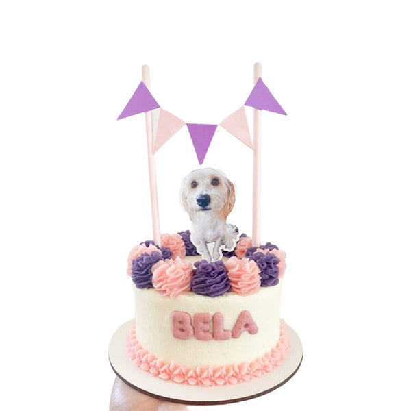 Bolos de aniversário para animais de estimação