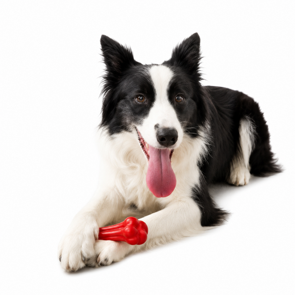 Juguete Para Perro De Hueso Rojo