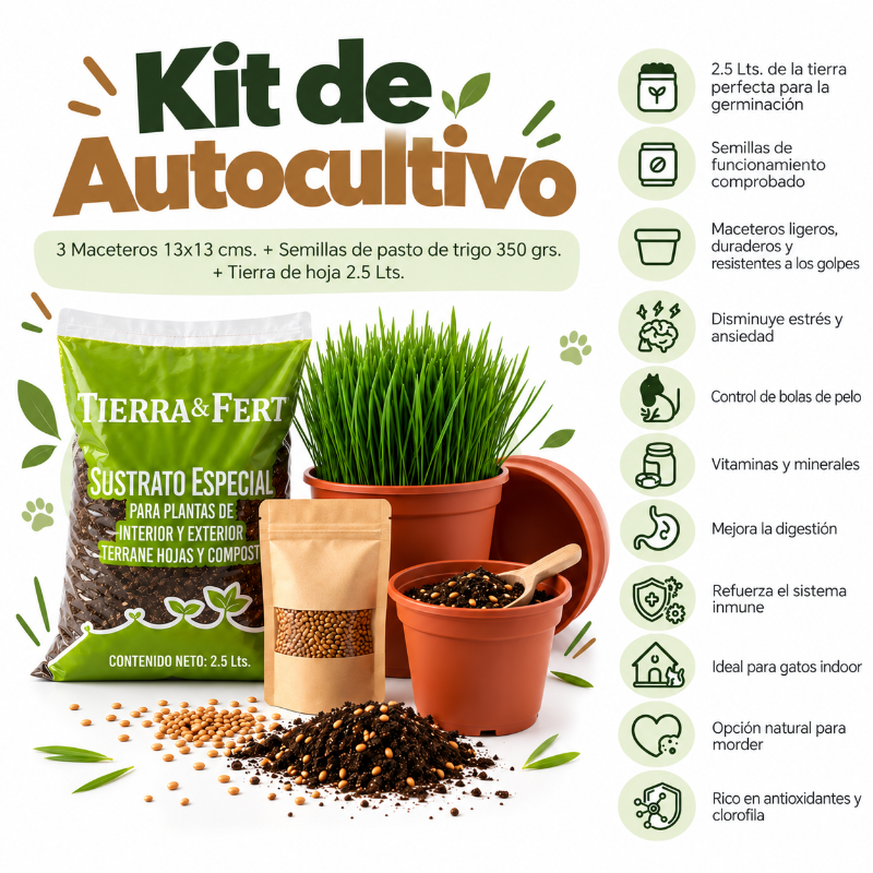 Kit De Autocultivo De Pasto Para Gatos – 3 Maceteros + Semillas de Trigo + Tierra