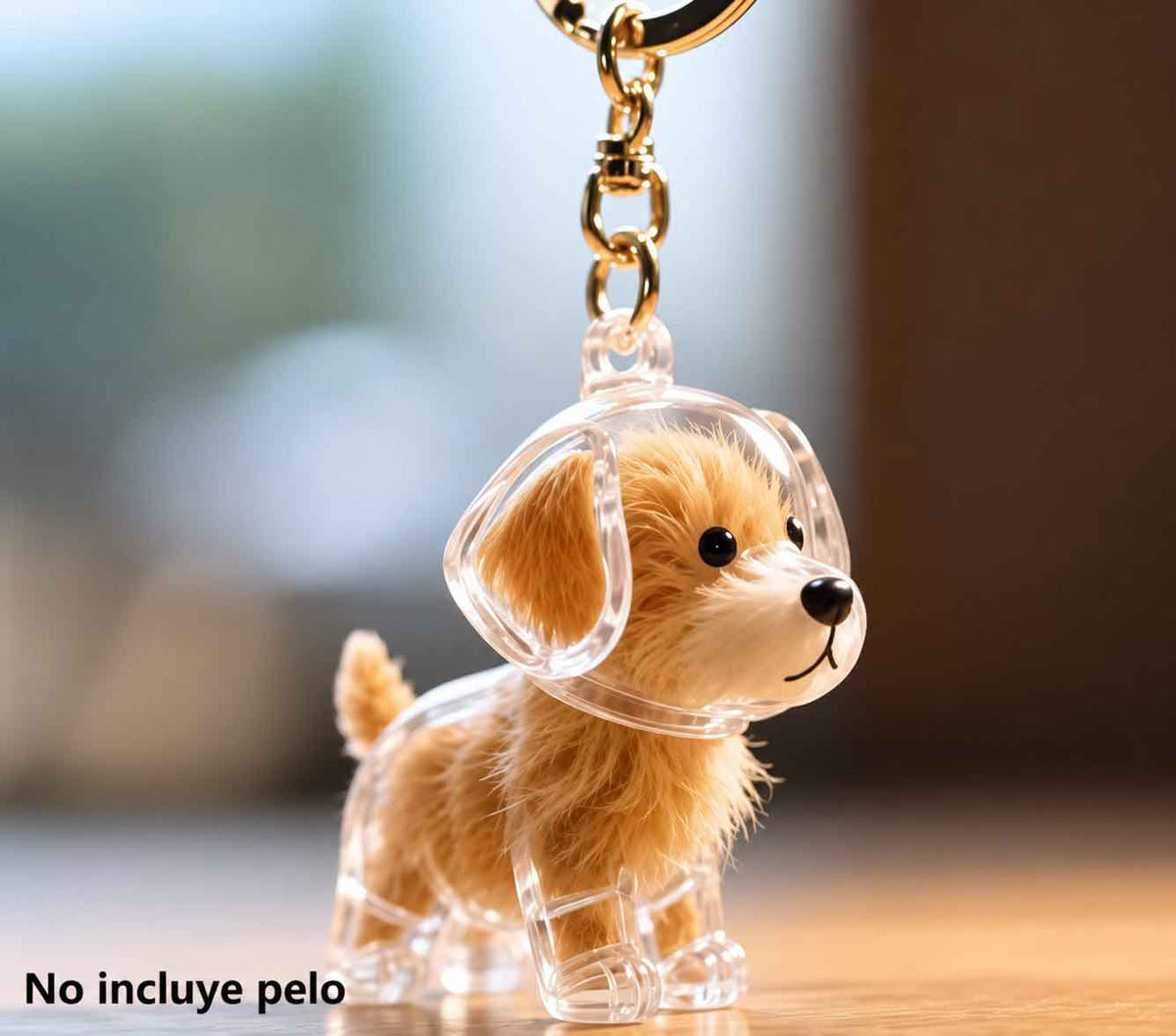Llavero Transparente Cápsula De Almacenamiento De Pelo De Perro