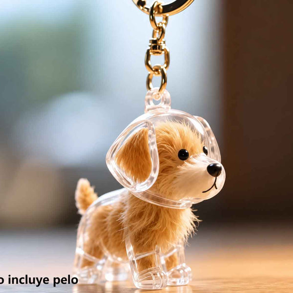 Llavero Transparente Cápsula De Almacenamiento De Pelo De Perro