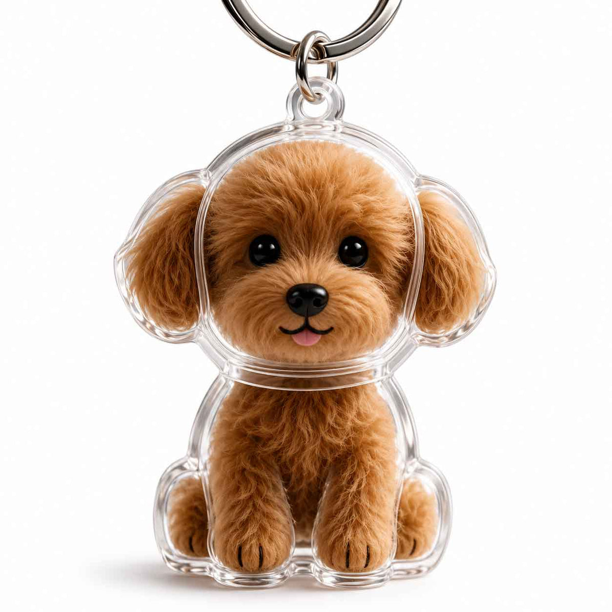Llavero Transparente Cápsula De Almacenamiento De Pelo De Perro
