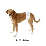 Pañales Desechables Para Perros Machos  Dono - Moxy Pet Box