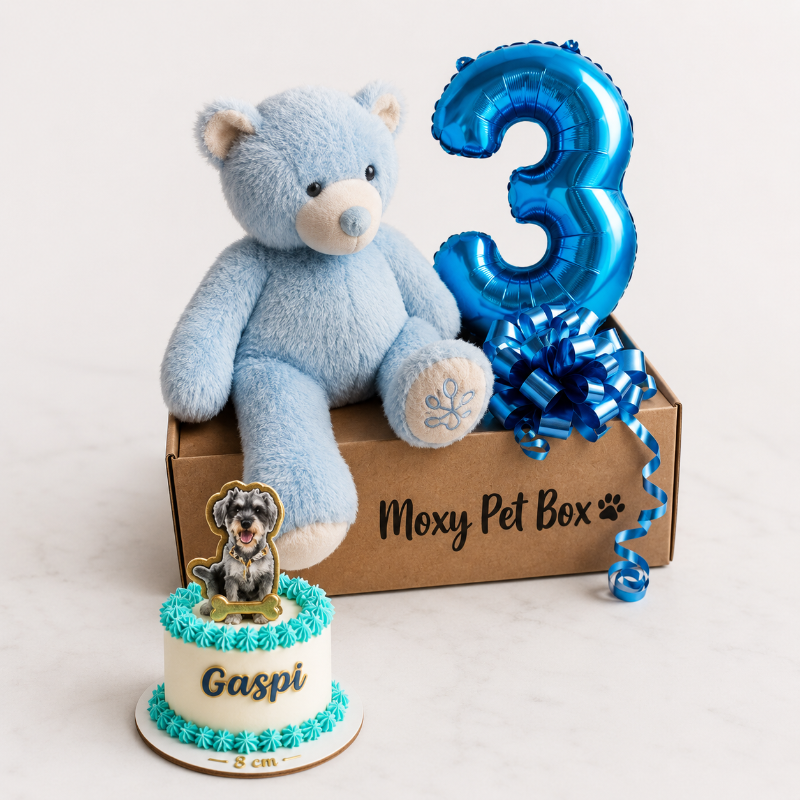Pack Cumple De Ensueño