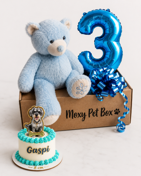Pack Cumple De Ensueño