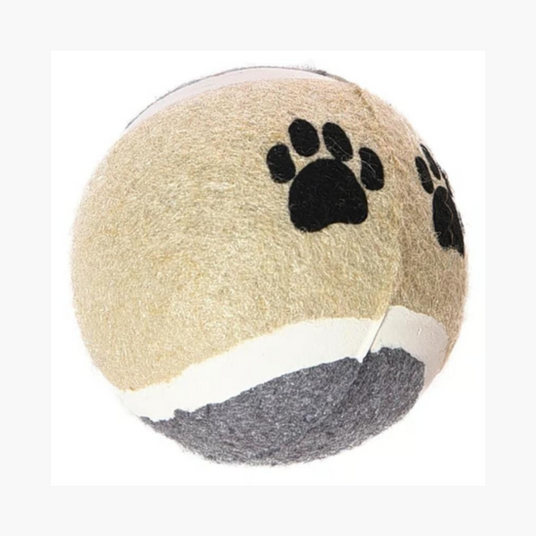 Pelotas De Tenis Para Perros Beige - Moxy Pet Box