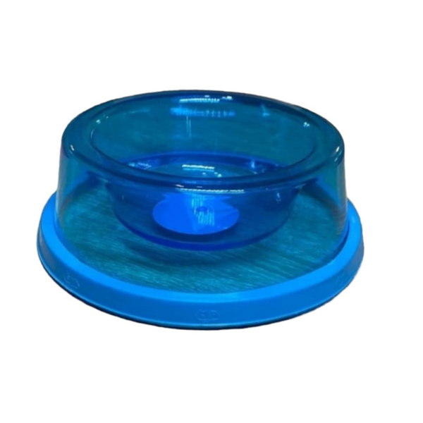 Plato Comedero De Plástico Para Perros Azul- Moxy Pet Box
