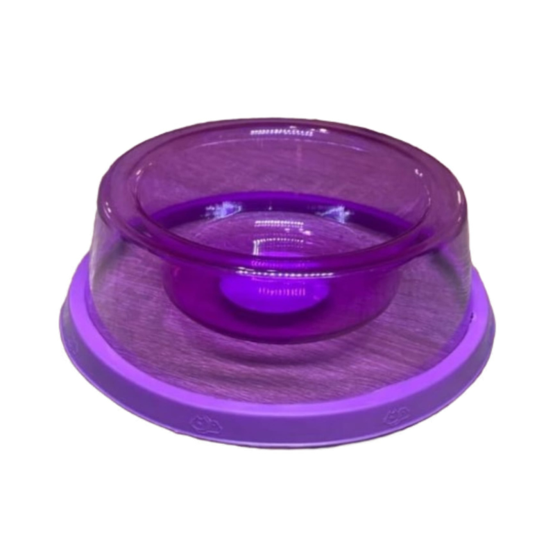 Plato Comedero De Plástico Para Perros Morado - Moxy Pet Box
