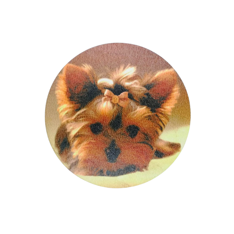 Posavasos Yorkshire - Moxy Pet Box