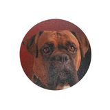 Posavasos boxer - Moxy Pet Box