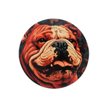 Posavasos bulldog - Moxy Pet Box