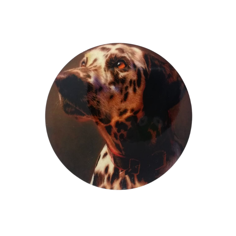Posavasos dalmata - Moxy Pet Box