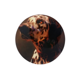 Posavasos dalmata - Moxy Pet Box