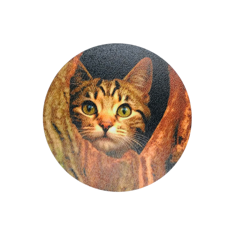 Posavasos gato arbol - Moxy Pet Box