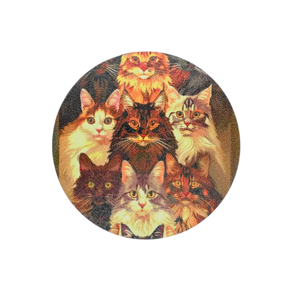 Posavasos gatos - Moxy Pet Box 