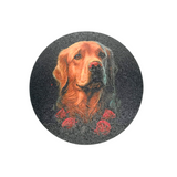 Posavasos golden - Moxy Pet Box