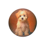 Posavasos maltes - Moxy Pet Box