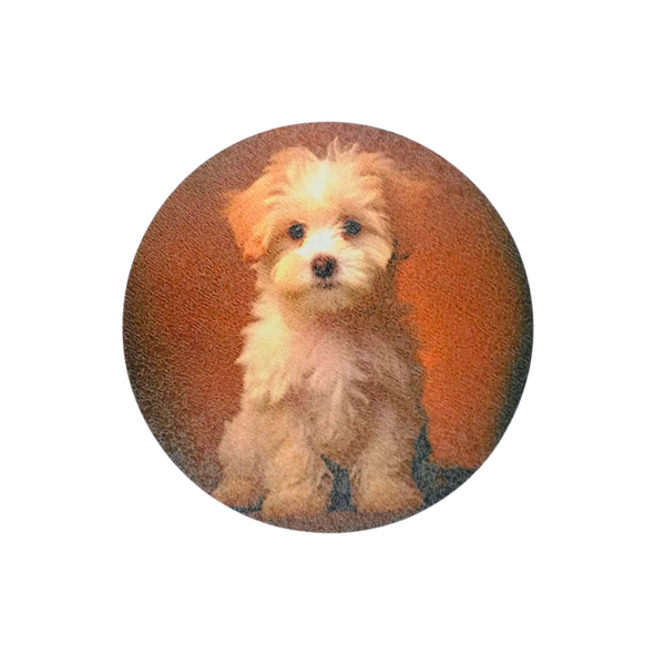 Posavasos maltes - Moxy Pet Box