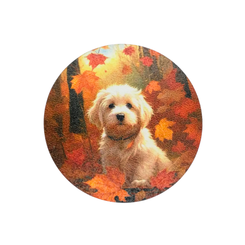 Posavasos maltes otoño - Moxy Pet Box