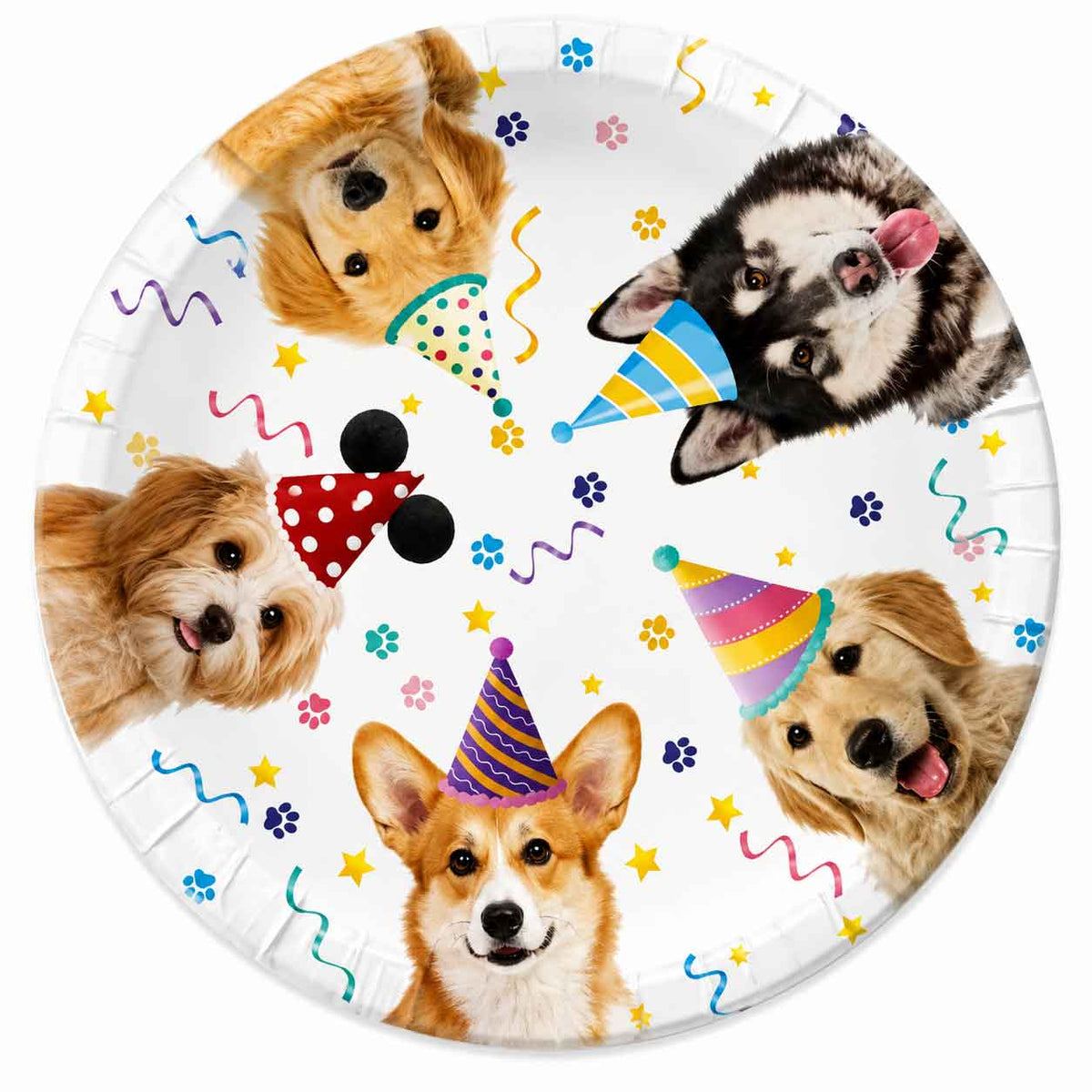 Set De Platos Desechables De Cumpleaños Para Mascotas
