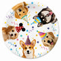 Set De Platos Desechables De Cumpleaños Para Mascotas