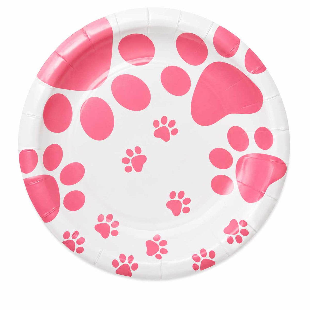 Set De Platos Desechables De Cumpleaños Para Mascotas