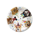 Set De Platos Desechables De Cumpleaños Para Mascotas - Moxy Pet Box