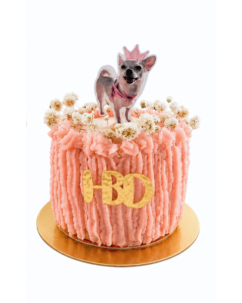 Torta De Cumpleaños Moderna Para Mascotas