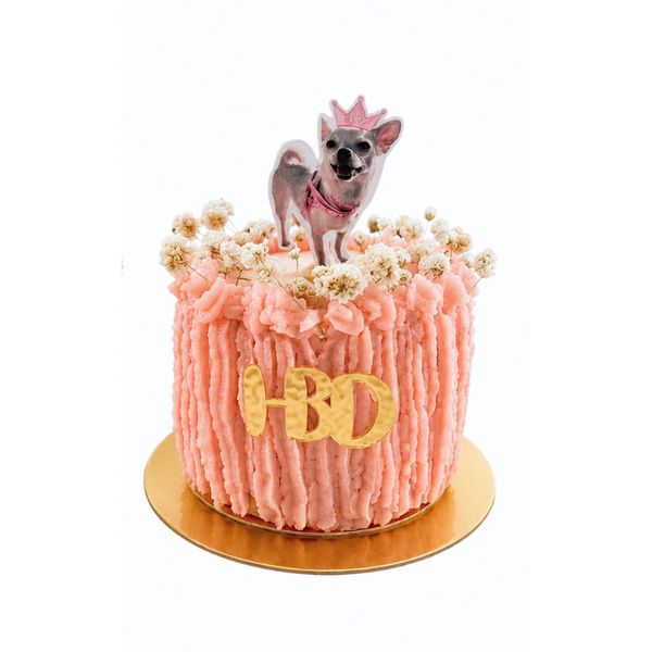 Torta De Cumpleaños Moderna Para Mascotas