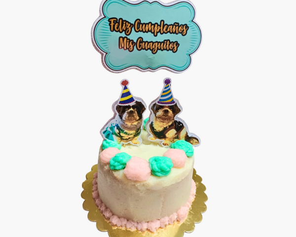 Tortas De Cumpleaños Para Mascotas