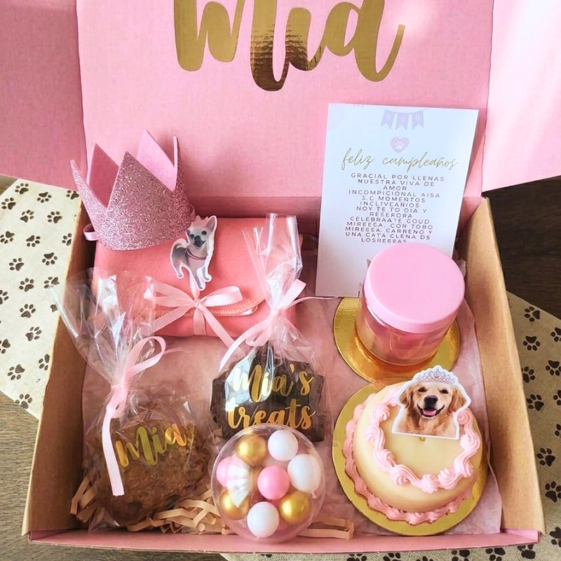 Caja De Cumpleaños Para Mascotas