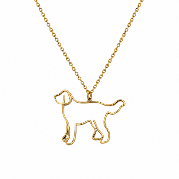 Collar De Acero Inoxidable De Golden Retriever