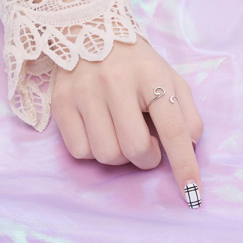 Anillo de Gato - Moxy Pet Box