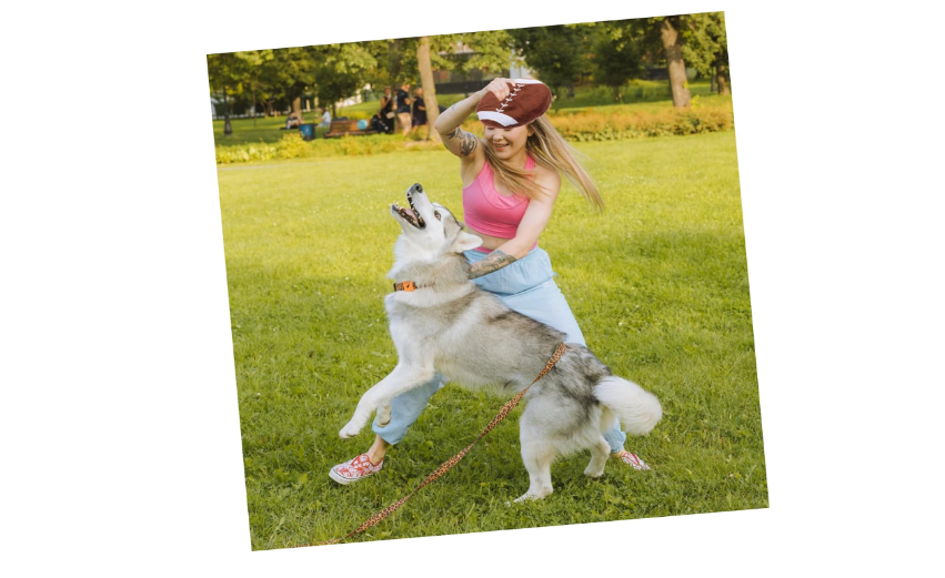 Pelota De Rugby Para Perros - Moxy Pet Box