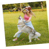 Pelota De Rugby Para Perros - Moxy Pet Box