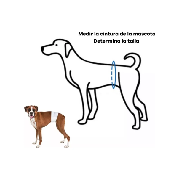 Pañales Desechables Para Perros Machos  Dono