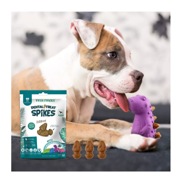Dental Treat Spikes Snack Refill Chicken Flavor
