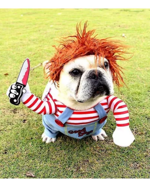 Disfraz De Chucky Para Mascotas - Moxy Pet Box