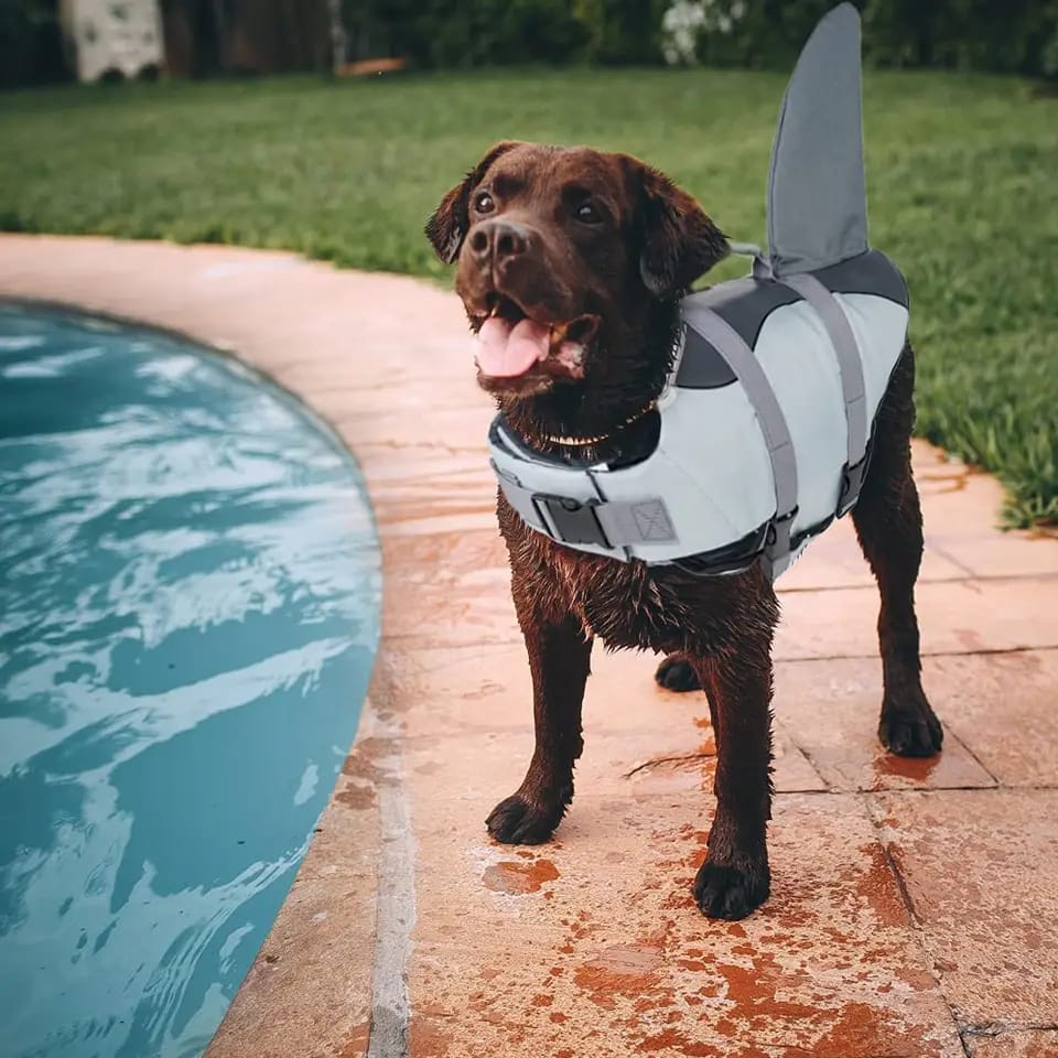 Colete salva-vidas Shark - Cinza