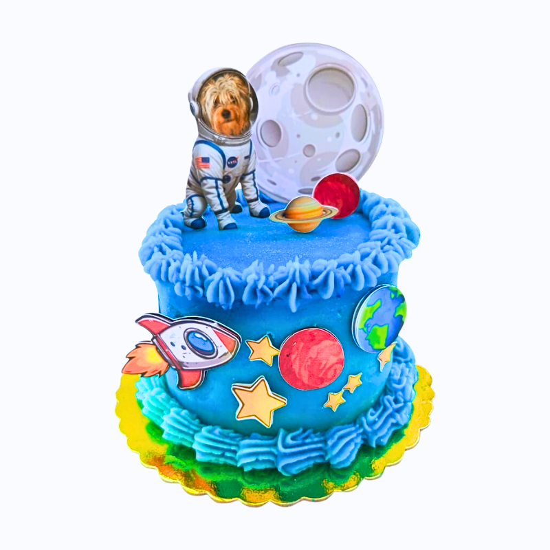 Torta De Cumpleaños Temática Para Mascotas