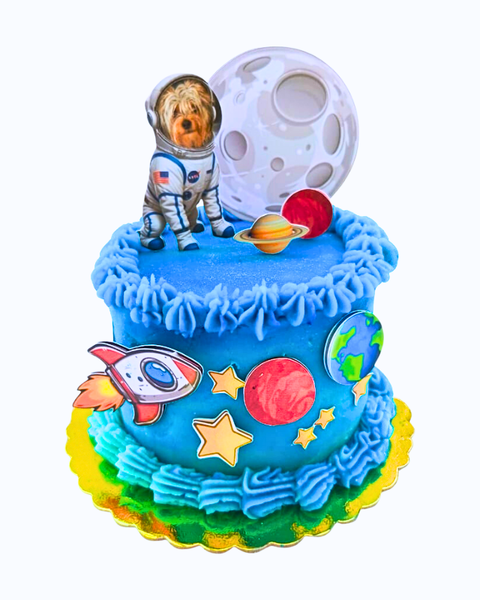 Torta De Cumpleaños Temática Para Mascotas