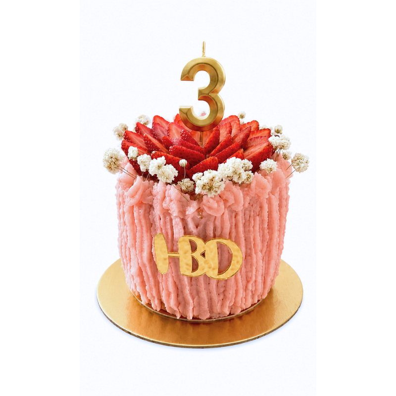 Torta De Cumpleaños Moderna Para Mascotas